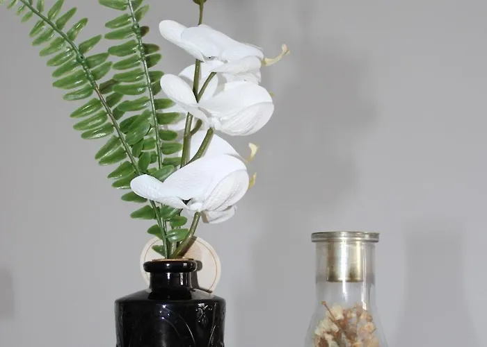 Apartmán Les Hauts Du Port-appartement Elegant Et Bonifacio (Corsica)