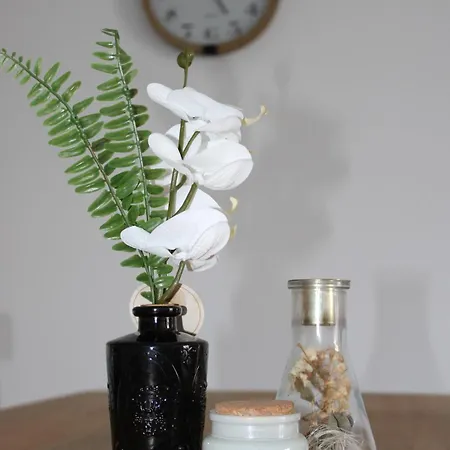 Appartement Les Hauts Du Port-appartement Elegant Et Bonifacio (Corsica)